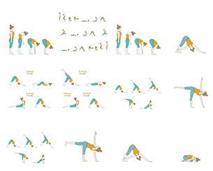 what is the vinyasa sequence - Classie Berryman