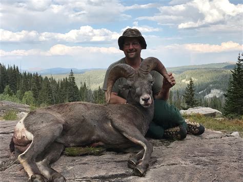 Colorado – Bighorn Sheep – Sportsman of Colorado