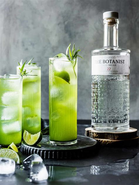 24 Gin and Tonic Recipes that Transform the Classic - An Unblurred Lady