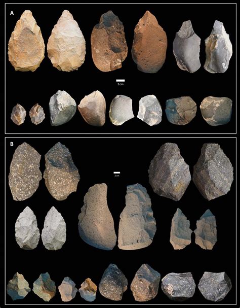 manguera Estricto chico herramientas de homo erectus Significativo ...