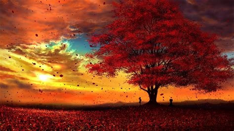 Anime Original Tree Fall Leaf Sun Peace Cloud Wallpaper | Anime scenery ...