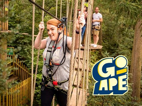 Go Ape Dalby, Tree Top Adventure in Dalby Forest