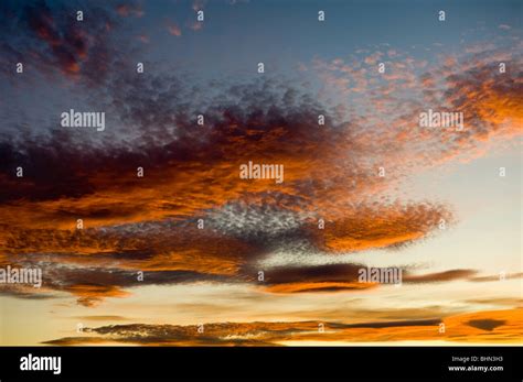 image of altocumulus clouds at sunset Stock Photo - Alamy