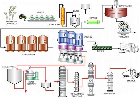 Schematic diagram of Ethanol Production | Download Scientific Diagram