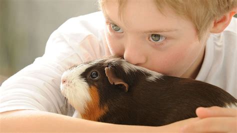 How pets give your kids a brain boost