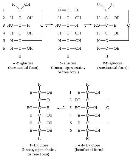 Carbohydrate - Configuration | Britannica.com