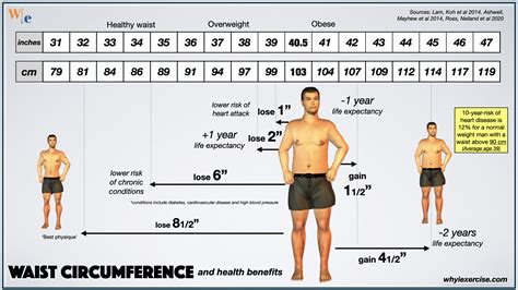 Waist Circumference: Examining the hidden dangers of abdominal obesity