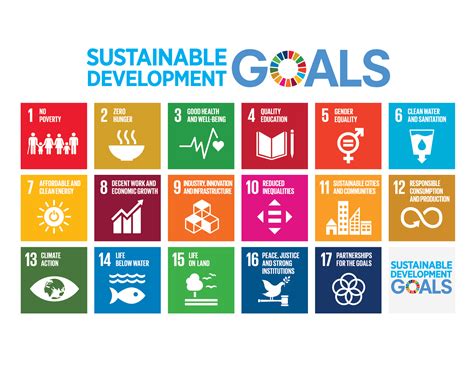 Focus 2030 and the Sustainable Development Goals: at the heart of our work