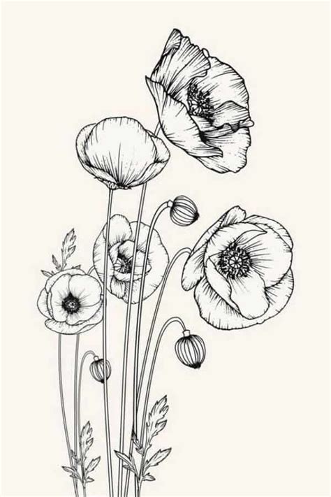 How To Draw a Flower? - 45 Easy Flower Drawings For Beginners