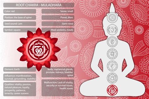 Primer Chakra