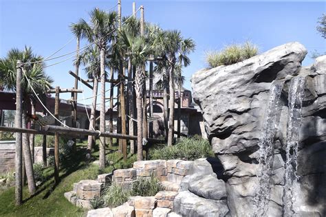 New Orangutan Habitat Debuts at Audubon Zoo in New Orleans