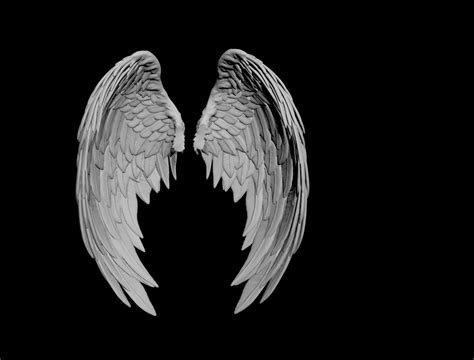 Angel wings 3d model - plejust