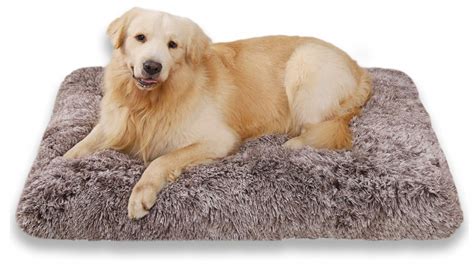 Best dog beds for crates to make a soft and cosy haven