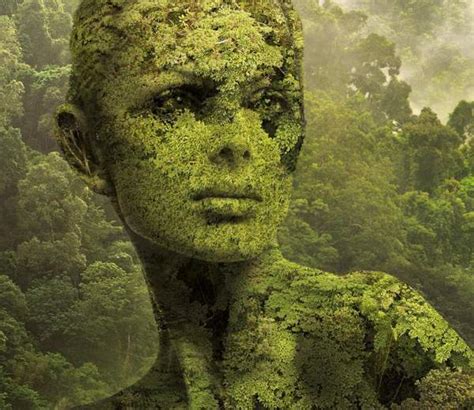 Surreal Nature-Inspired Illustrations by Igor Morski