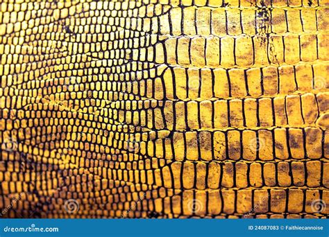 Reptile Skin Texture/background Stock Photos - Image: 24087083