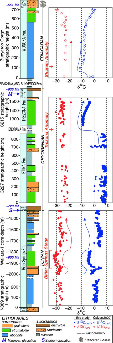 Carbonate carbon isotope values and organic carbon isotope values from... | Download Scientific ...