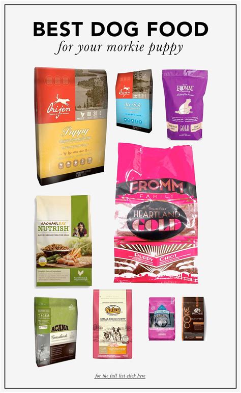 Best Dry Dog Food Brands 2024 - Agnes Arlette