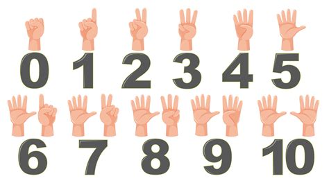 Finger Number Vector Art, Icons, and Graphics for Free Download