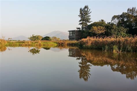 Hong Kong Wetland Park - New Territories Attractions – Go Guides