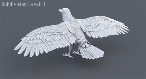 3D Crow Animated — Missset