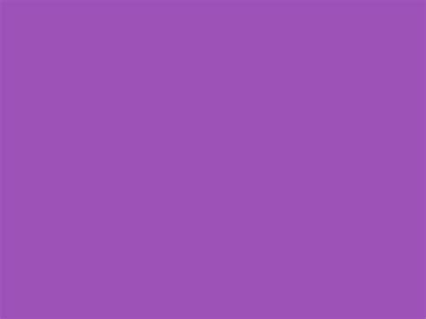 Purple Plum ( #9c51b6 ) - plain background image