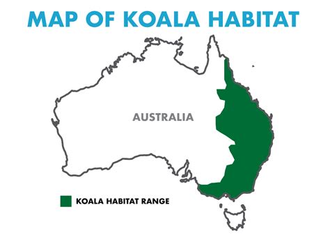 Map of Koala Habitat | SEEtheWILD Wildlife Conservation