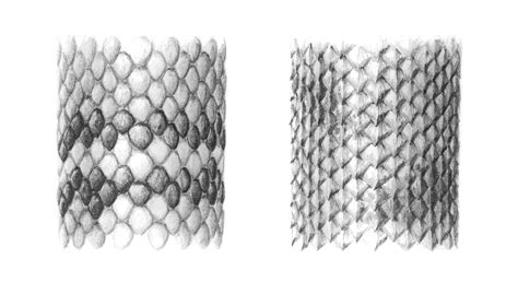 How to Draw Scales