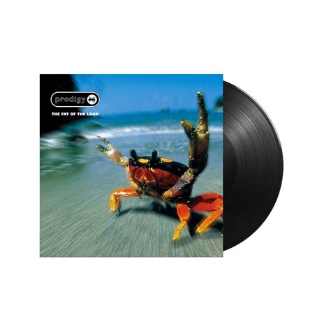 The Prodigy / Fat Of The Land 2xLP Vinyl – sound-merch.com.au