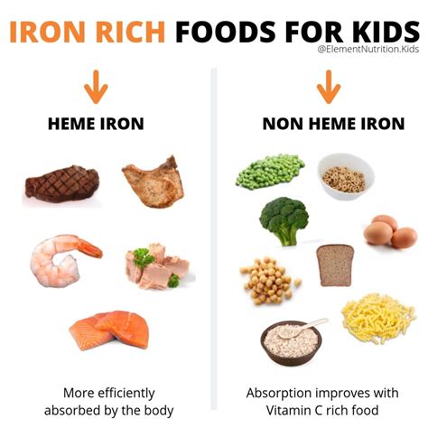 Anemia and iron rich foods for kids | Element Nutrition Co.