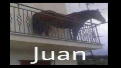 Juan Meme : Meme Of The Year Potential For Juan Memes - Apr 29, 2021 · juan joya borja known as ...