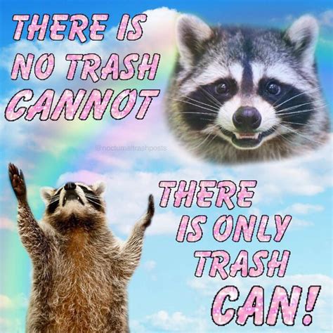 “Nocturnal Trash Posts”: 30 Of The Best Raccoon Memes This Dedicated Instagram Account Has To ...