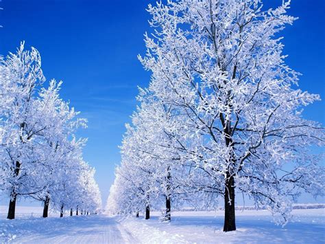 Snowy Scene Wallpapers - Wallpaper Cave