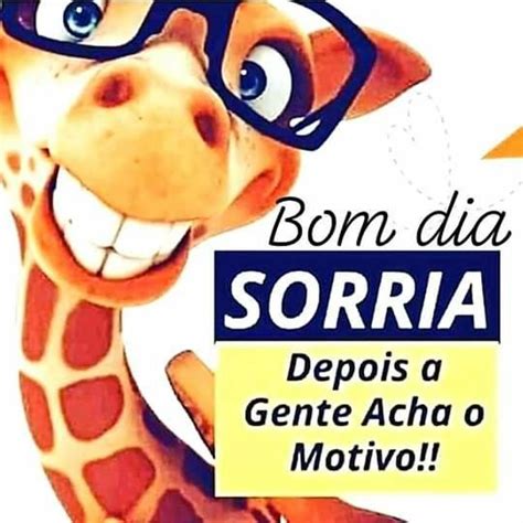 37 Frases engraçadas de Bom dia para Deixar o seu dia mais Bonito