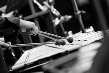 Xylophone Players Free Stock Photo - Public Domain Pictures