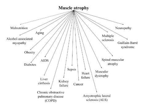 Clinical conditions associated with muscle atrophy | Download ...