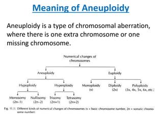 Aneuploidy | PPT