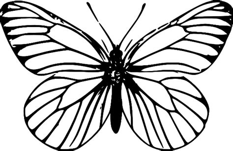 Free Butterfly Outline Png, Download Free Butterfly Outline Png png images, Free ClipArts on ...