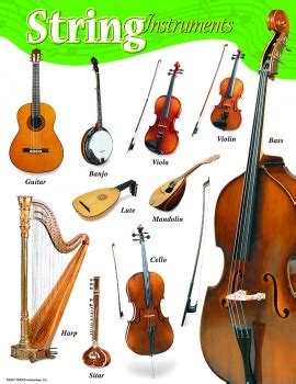 Buy String Instruments Poster | Music Media | Signs and Posters