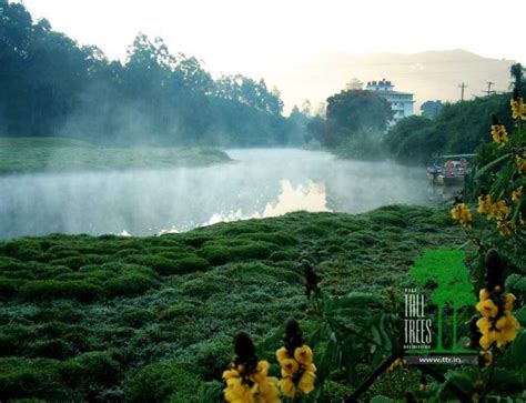 The Tall Trees,Munnar:Photos,Reviews,Deals