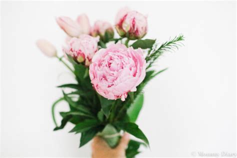 How To Make A Peony + Tulip Bouquet | Mommy Diary