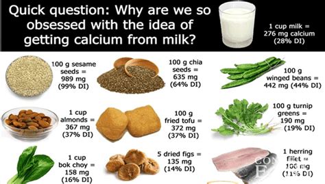 Calcium During Pregnancy - Calcium Rich Foods For Pregnancy - Test Blog