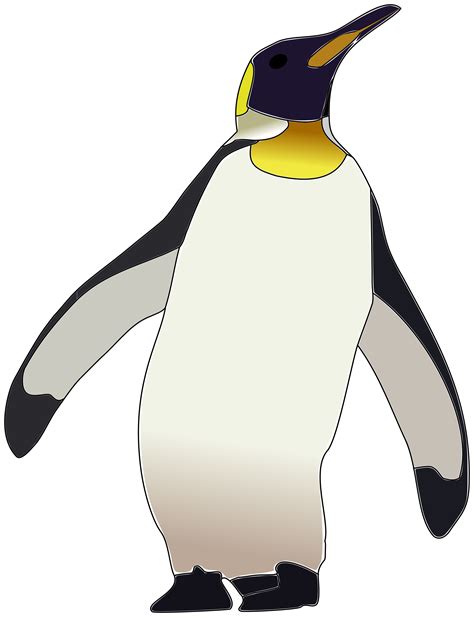 Penguin clipart emperor penguin, Penguin emperor penguin Transparent FREE for download on ...