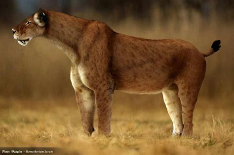 7 Extinct Animals that Once Lived in North Africa