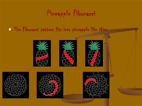 PPT - Fibonacci PowerPoint Presentation - ID:1008775