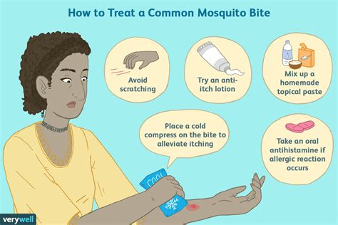 Infected Mosquito Bite: Symptoms, Treatment, Prevention