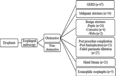 Classification of patients with esophageal dysphagia based on their... | Download Scientific Diagram