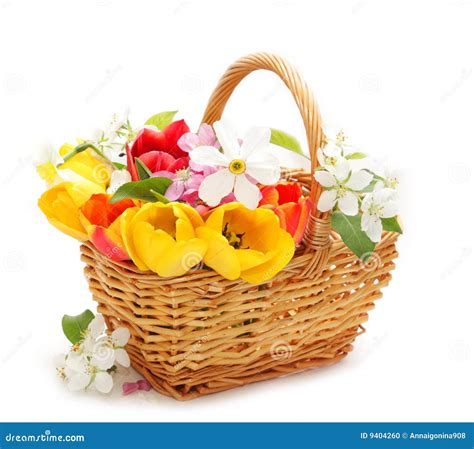 Flowers in the basket stock photo. Image of grow, plant - 9404260