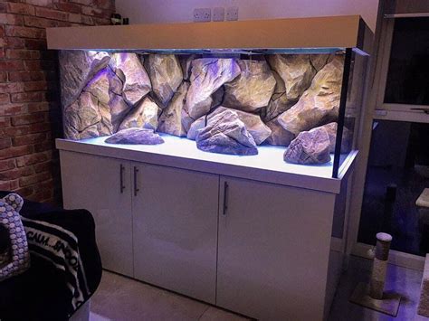 massive rock aquarium background in a aquarium | Aquarium design ...