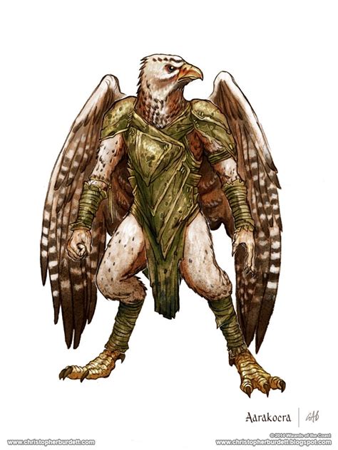 Aarakocra - 5th Edition Dungeons and Dragons by christopherburdett on ...