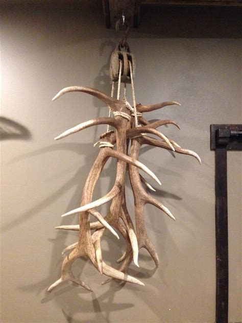 Top 10 elk antler decor ideas and inspiration